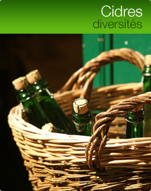 Cidres : diversit&eacutes;s