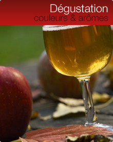 D&eacutes;gustation : couleurs & arômes