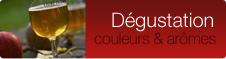 Dégustation couleurs & arômes